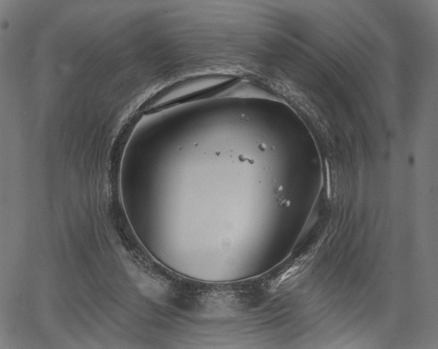 X0000067390252200604031040