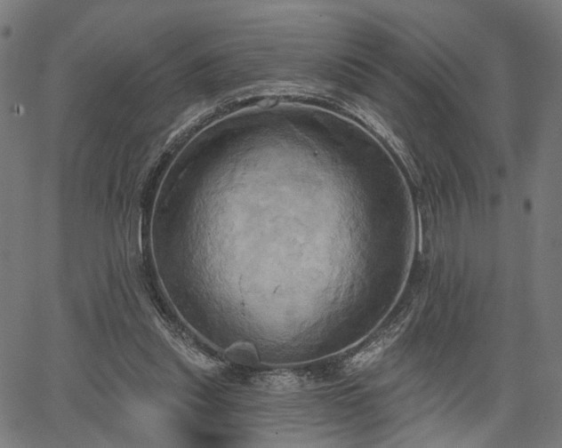 X0000067390253200604031040