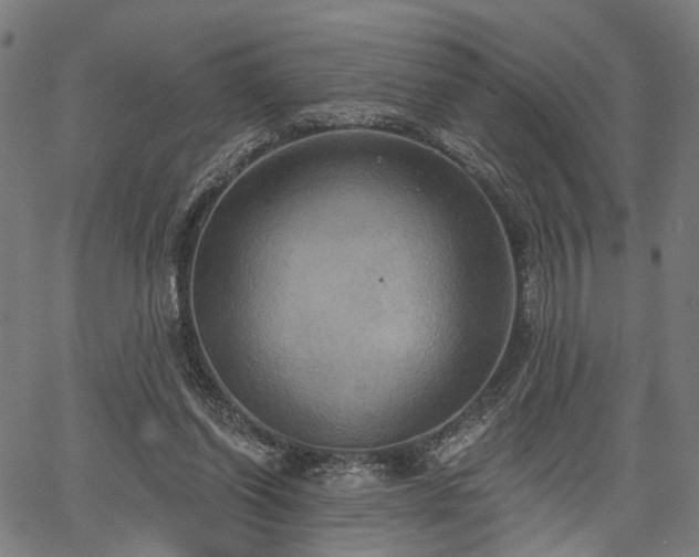 X0000067390254200604031040