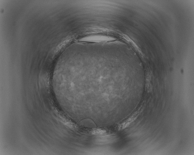 X0000067390257200604031040