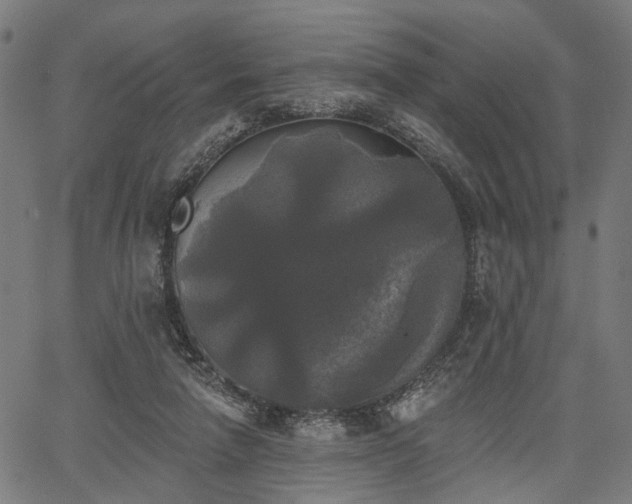 X0000067390258200604031040