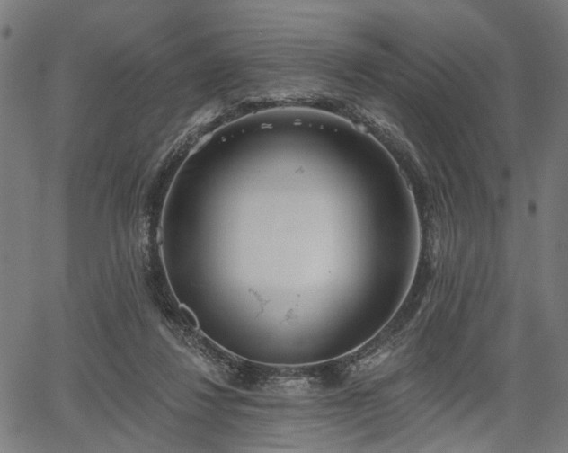 X0000067390260200604031040