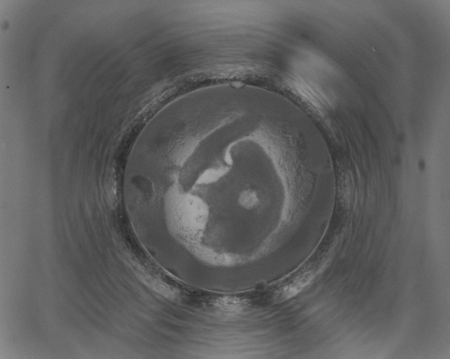 X0000067390261200604031040