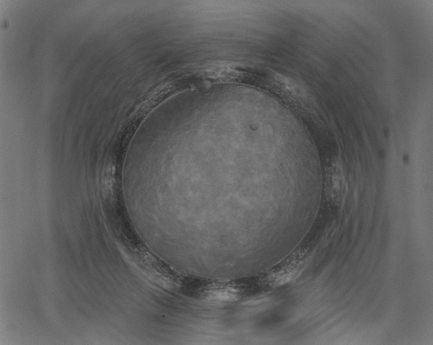 X0000067390263200604031040