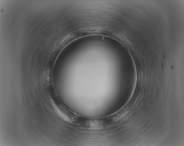 X0000067390264200604031040