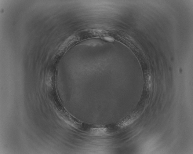 X0000067390266200604031040