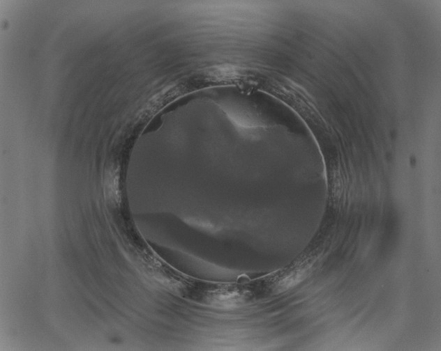 X0000067390267200604031040