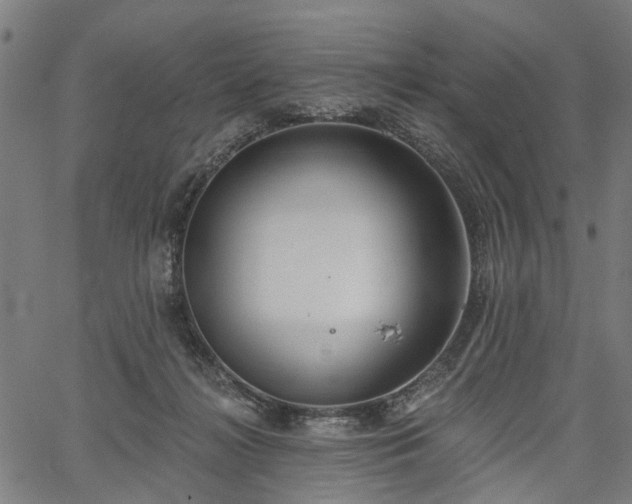 X0000067390268200604031040