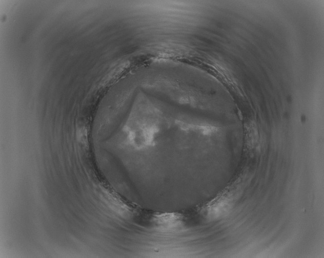 X0000067390269200604031040