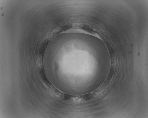 X0000067390272200604031040