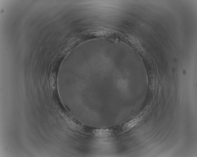 X0000067390273200604031040