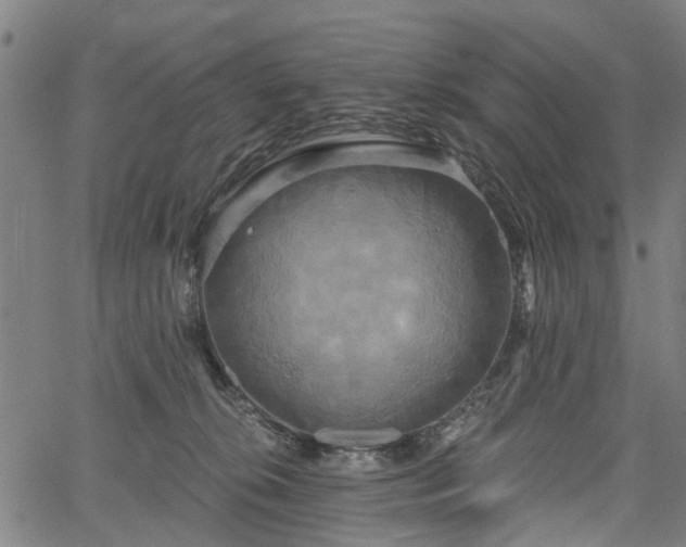 X0000067390276200604031040