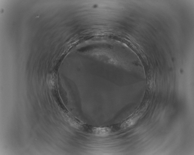 X0000067390277200604031040