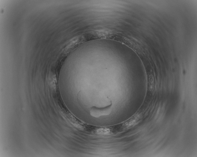 X0000067390279200604031040