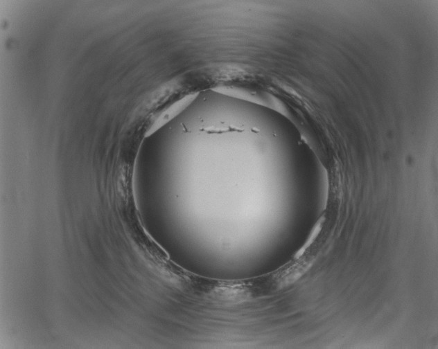 X0000067390280200604031040