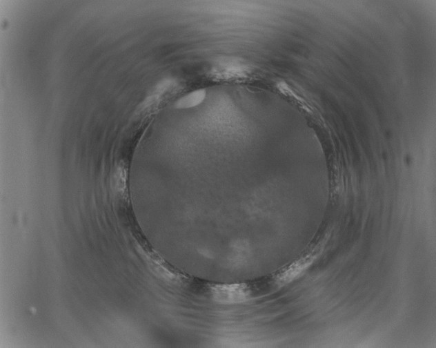 X0000067390281200604031040