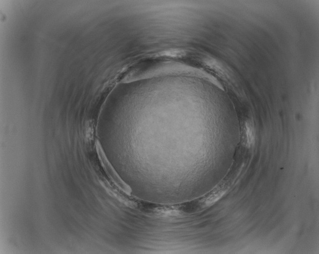 X0000067390284200604031040