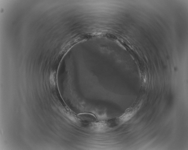 X0000067390286200604031040