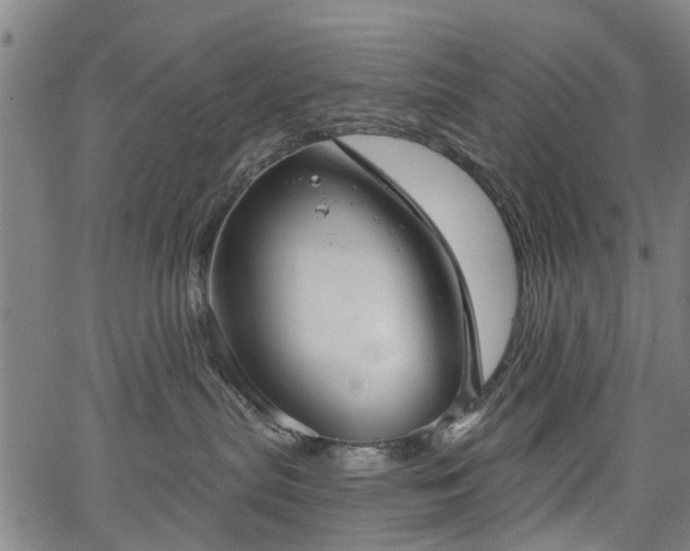 X0000067390287200604031040