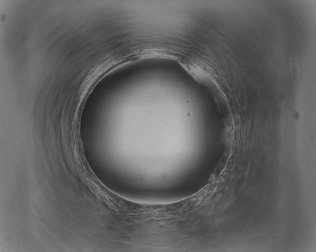 X0000067390289200604031039