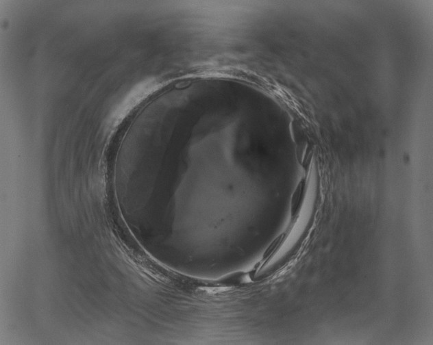 X0000067390295200604031039