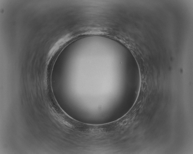 X0000067390296200604031039