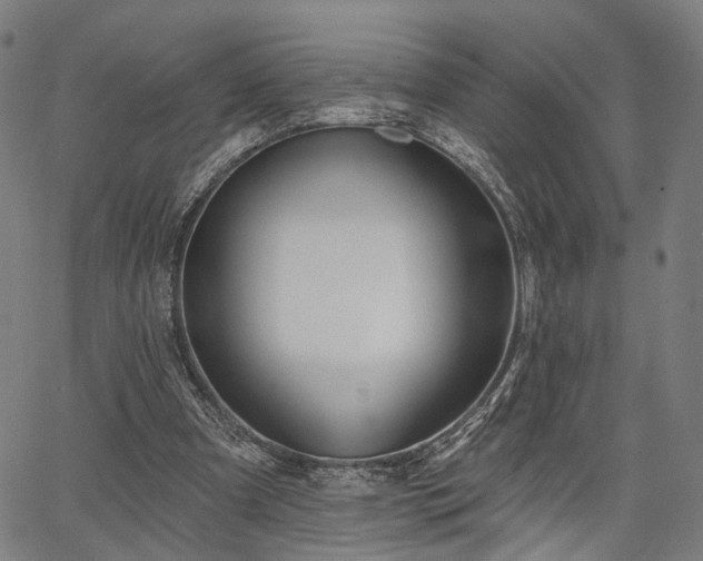 X0000067390297200604031039