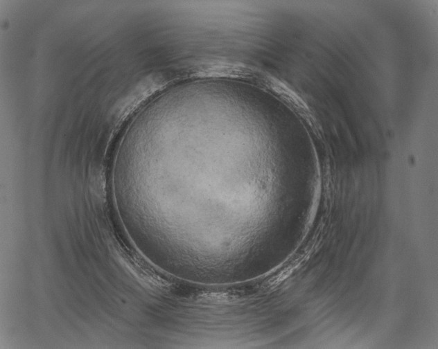 X0000067390298200604031039