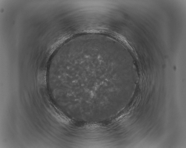 X0000067390299200604031039