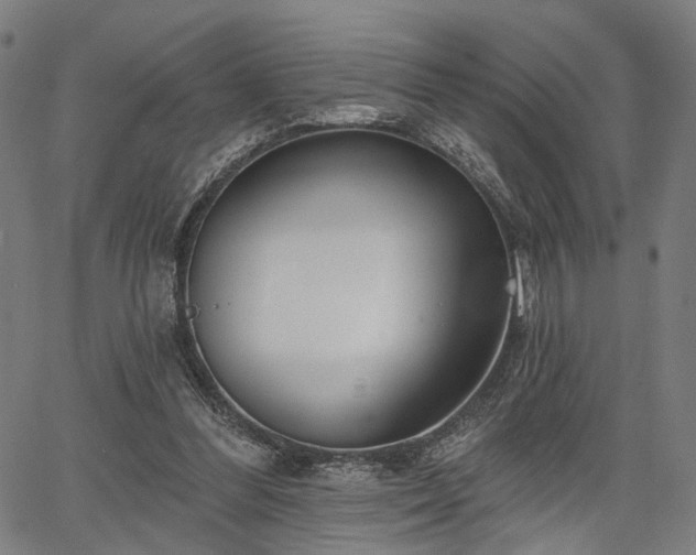 X0000067390300200604031039