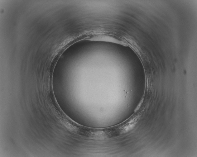 X0000067390301200604031039