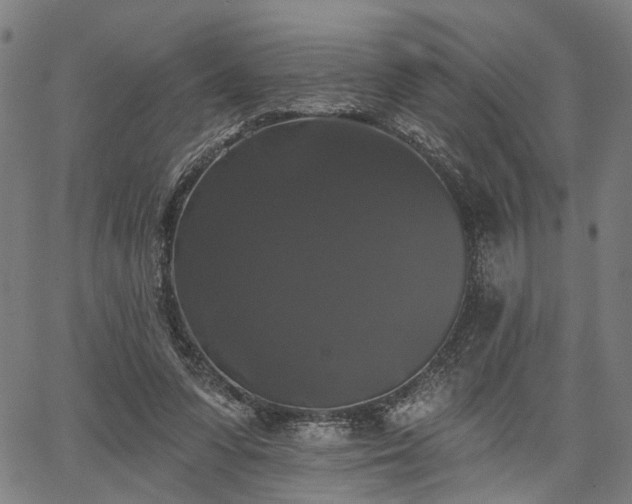 X0000067390303200604031039