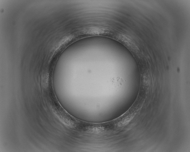 X0000067390304200604031039