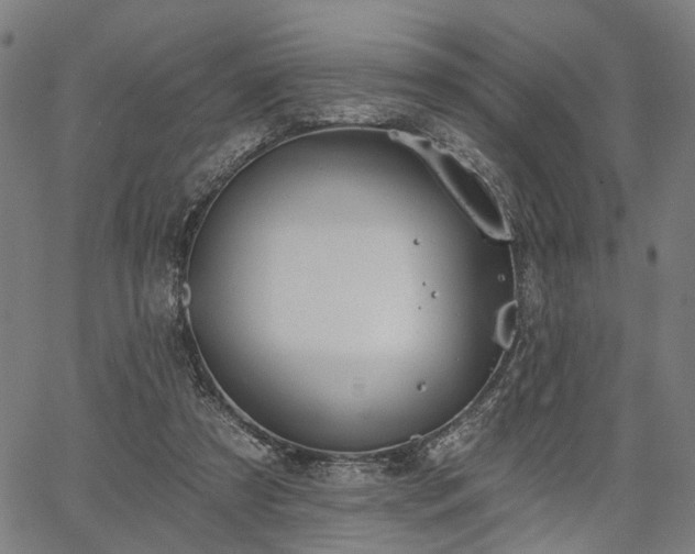 X0000067390305200604031039