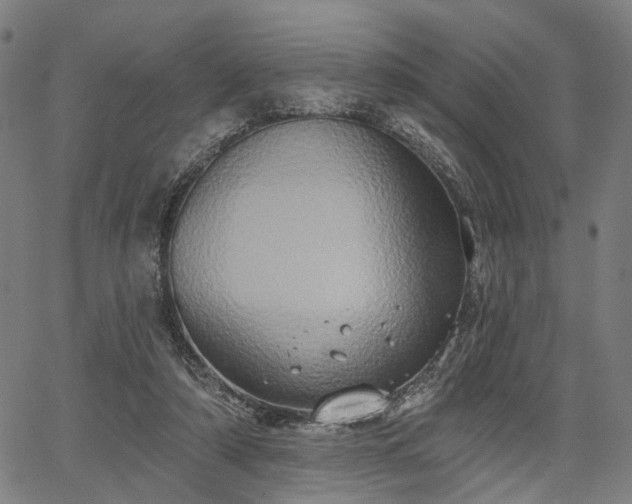 X0000067390306200604031039