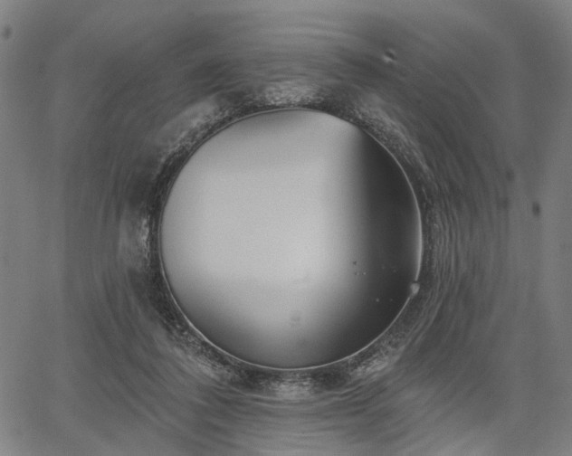 X0000067390308200604031039