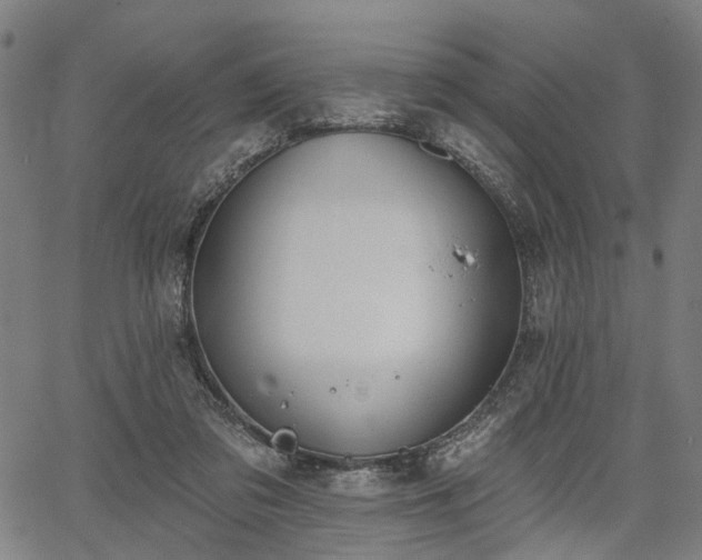 X0000067390309200604031039