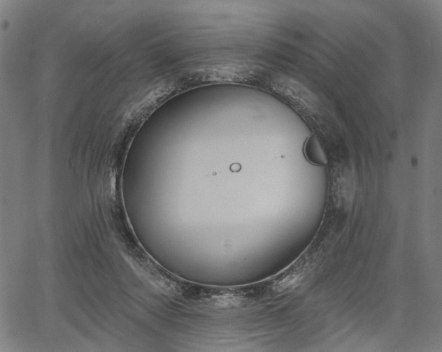 X0000067390310200604031039