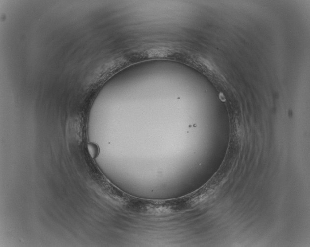 X0000067390311200604031039