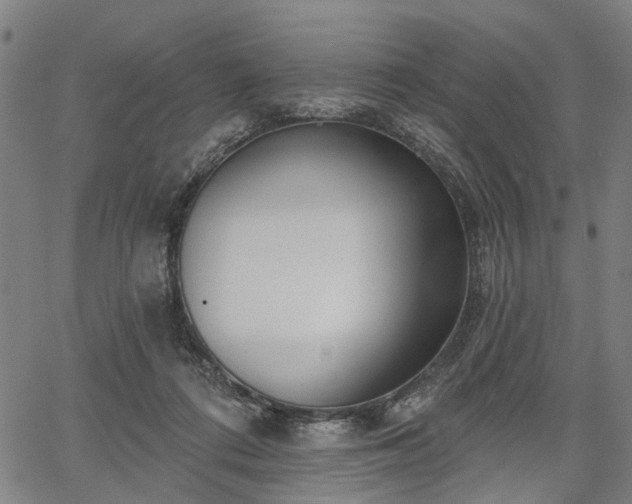 X0000067390312200604031039