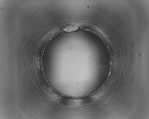 X0000067390313200604031039