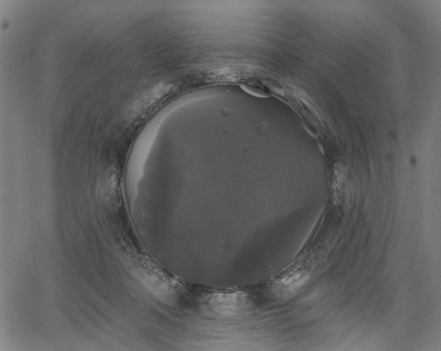 X0000067390314200604031039