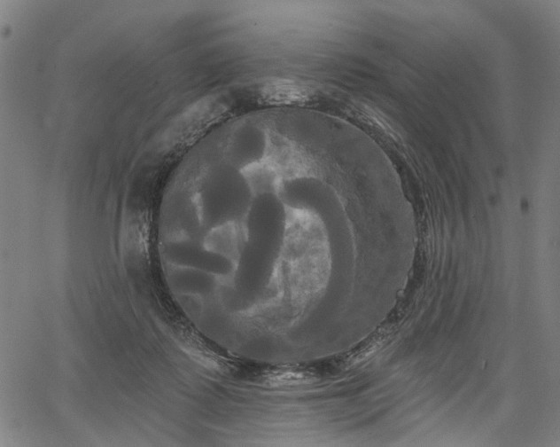 X0000067390315200604031039