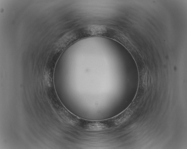 X0000067390316200604031039