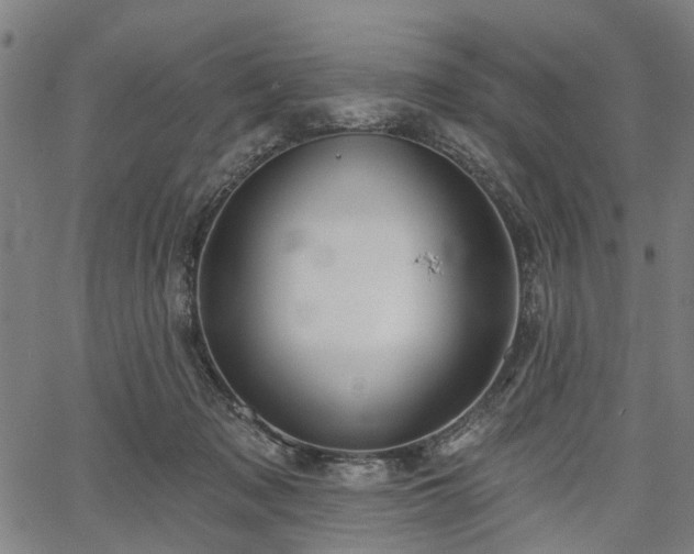 X0000067390317200604031039