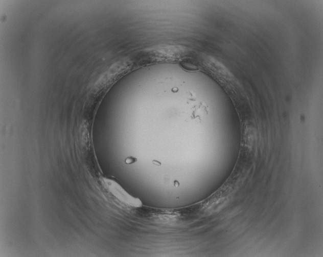 X0000067390318200604031039