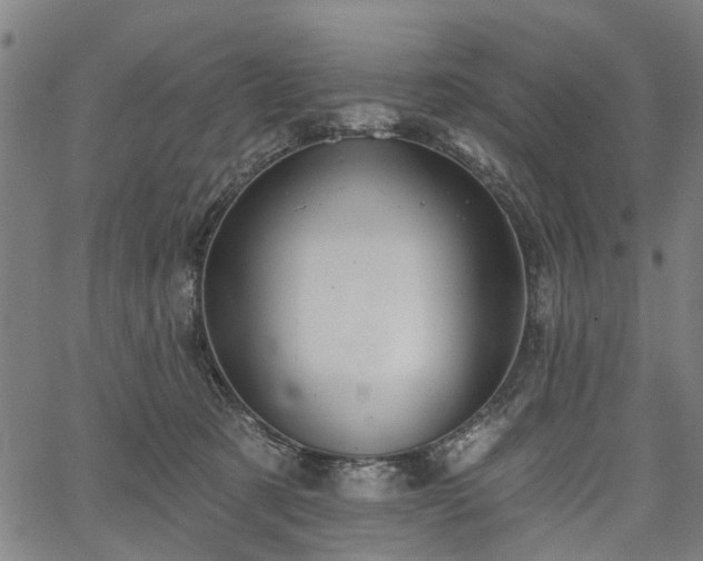 X0000067390321200604031039