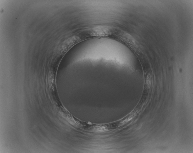 X0000067390322200604031039