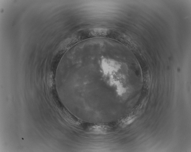 X0000067390323200604031039