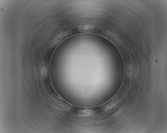 X0000067390324200604031039